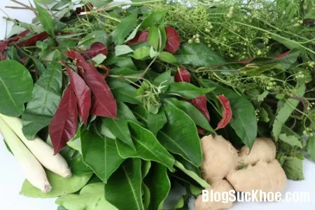 Bài thuốc xông hơi giải cảm