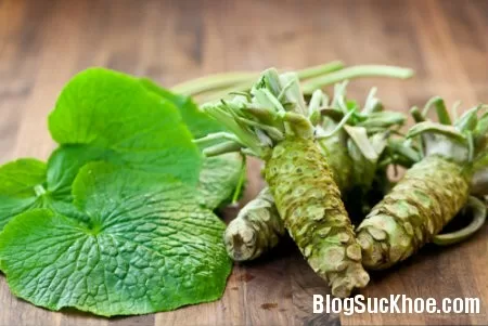 Tác dụng của mù tạt với sức khỏe