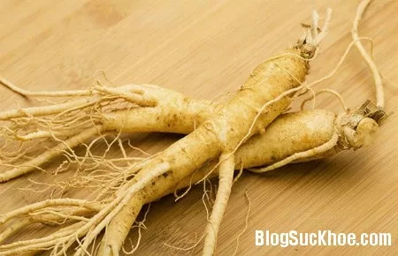 Bệnh gì không nên dùng nhân sâm
