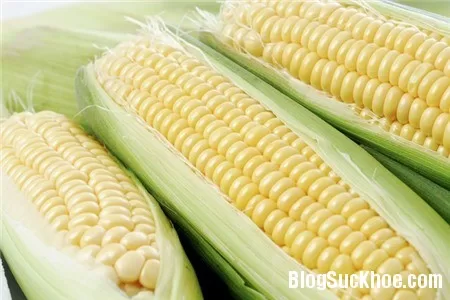 Ăn bắp ngô mỗi ngày để chống ung thư