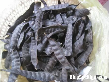 bo ket2