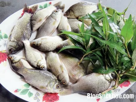 Món ăn, bài thuốc từ cá diếc