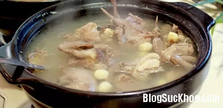Bài thuốc chữa bệnh từ chim cút