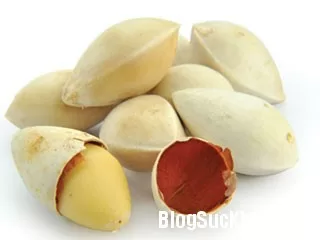 Bài thuốc chữa bệnh từ ngân hạnh