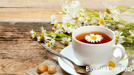 10 bài thuốc chữa đau đầu bằng hoa