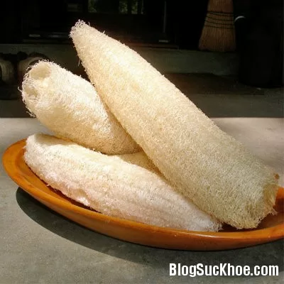 Xơ mướp chữa tắc tia sữa, rong kinh