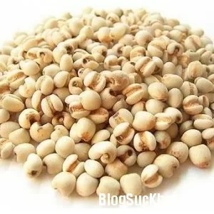 Món ăn, bài thuốc hỗ trợ điều trị đái tháo đường