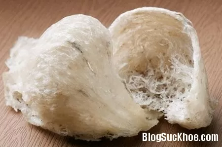 Cách phân biệt yến thật - giả