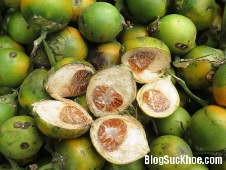 Món ăn vị thuốc chữa bệnh từ hạt cau