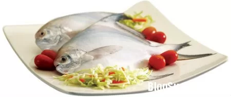 Món ăn thuốc từ cá chim