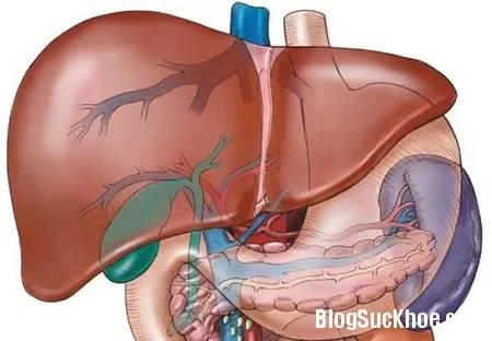 Quá trình phát bệnh ung thư gan