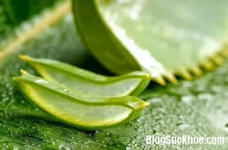Làm đẹp an toàn và hiệu quả với lô hội