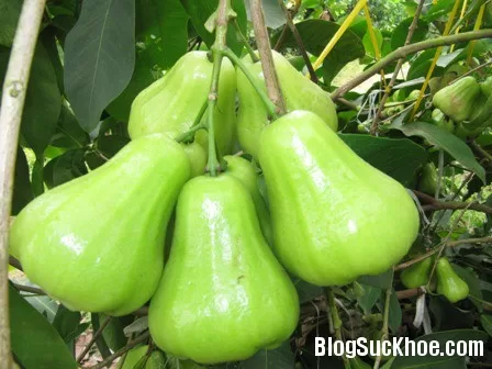 Muốn da đẹp nên ăn gì?