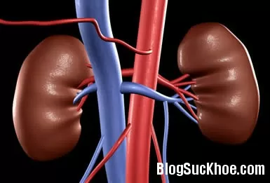 10 triệu chứng cảnh báo bệnh thận