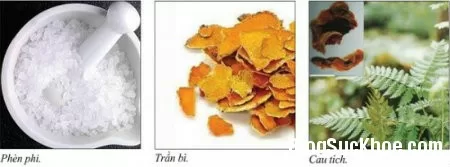 Một số bài thuốc chữa bệnh chai chân