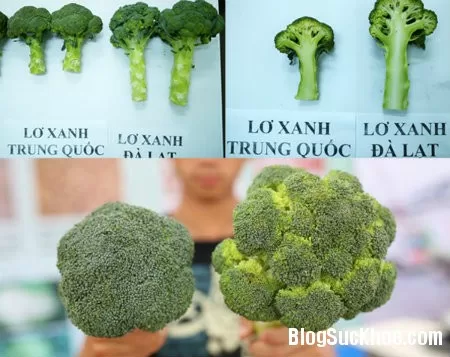 Phân biệt rau củ quả Trung Quốc và Đà Lạt