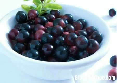 acai-berry