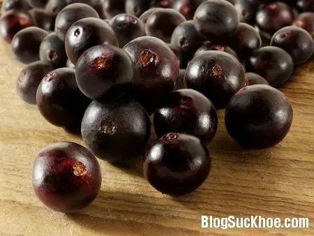 Acai berry mang lại nhiều lợi ích sức khỏe