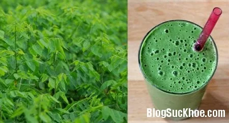 Chữa vô sinh từ những cây cỏ trong vườn