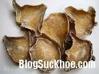 Cùng tìm hiểu Bệnh Béo Phì - Nguyên nhân - Phương pháp điều trị của Đông y (Phần 4)