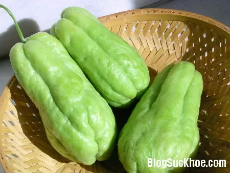 6 lợi ích sức khỏe từ su su