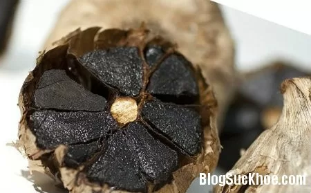 Bài thuốc chữa bệnh hay từ tỏi đen