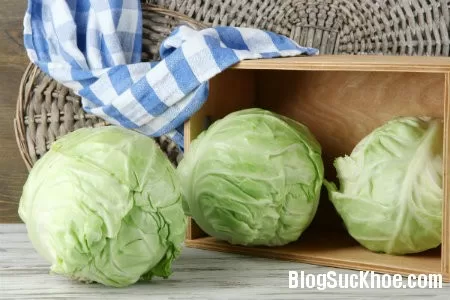 Vị thuốc chữa bệnh dạ dày hiệu quả