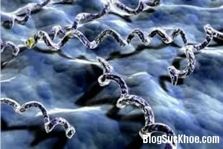 Những nguy hại đến sức khỏe khi mắc bệnh giang mai