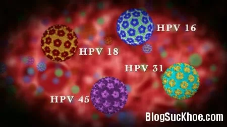 Con đường lây truyền virus HPV
