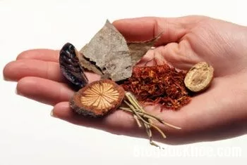 Bài thuốc bổ ngũ tạng