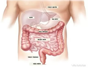 Các dấu hiệu ung thư đại trực tràng