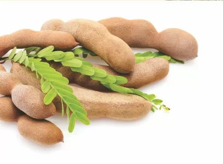 Lợi ích sức khỏe từ quả me
