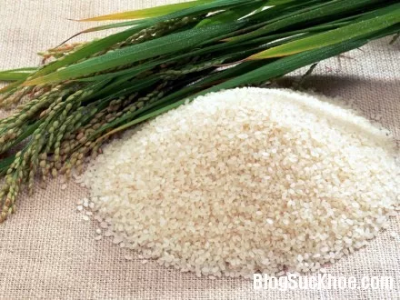 Bài thuốc dân gian chữa bệnh thương hàn