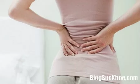 Bài thuốc hay chữa sỏi thận hiệu quả