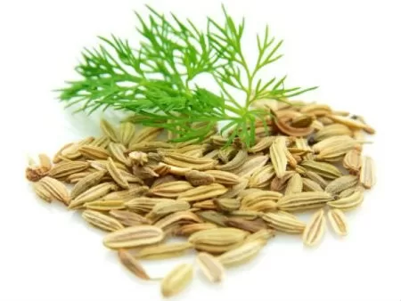 Bài thuốc dân gian chữa đầy bụng