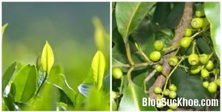 Kinh nghiệm chữa hăm tã cho bé
