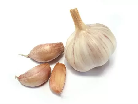 Một số bài thuốc trị bệnh lao phổi