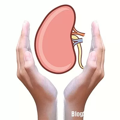 Những loại thuốc gây hại cho thận