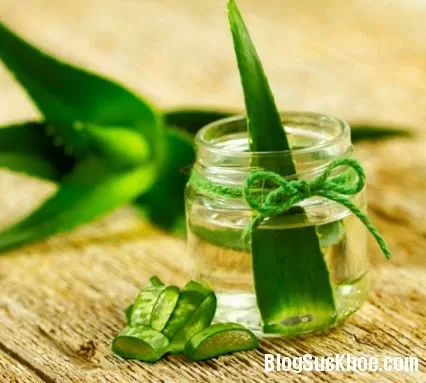 Cách trị nám da bằng nha đam