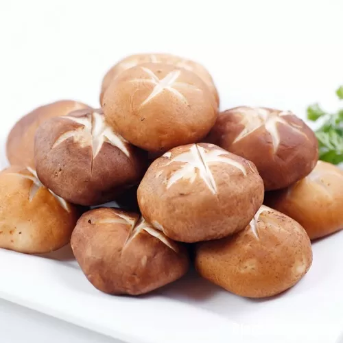 Nấm hương - Bài thuốc hay cho sức khỏe