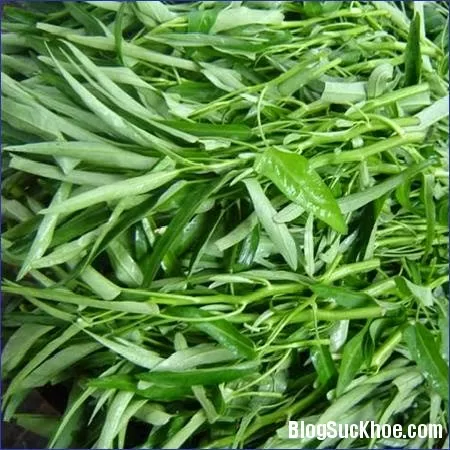 Những hiểm họa "chết người" từ rau muống