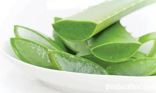 3 loại lá cây giúp trị gàu hiệu quả