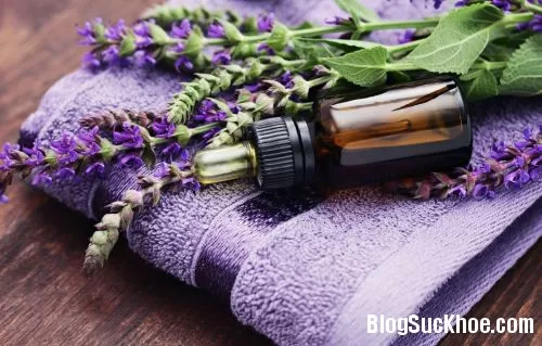 Phương pháp trị da đầu khô và ngứa