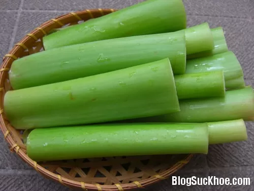 Tác dụng và tác hại khi sử dụng dọc mùng