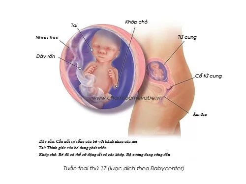 Kinh nghiệm mang thai ở tháng thứ 5