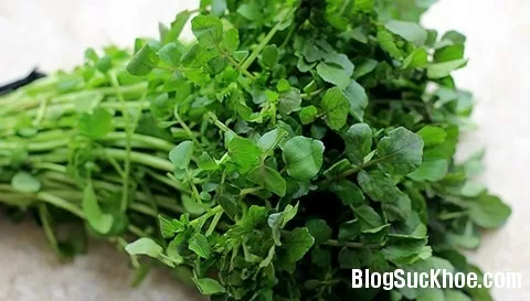 Cải xoong chữa nhiệt lưỡi, bí tiểu