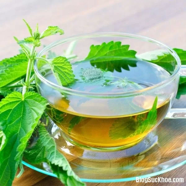 Trà dược cho người viêm gan