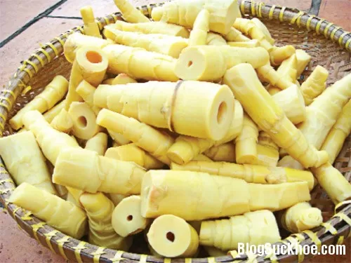 Ngạc nhiên trước những công dụng thần kỳ của măng tre