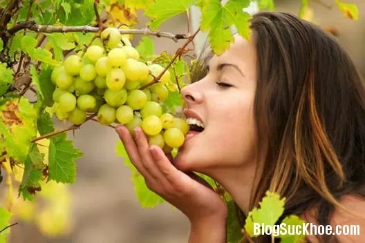 Những loại mặt nạ khử độc cho da