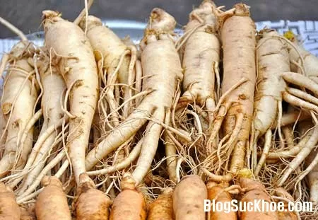 Đông y chữa chứng khó tiêu